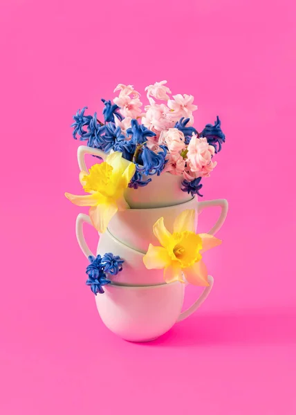 Composición Creativa Primavera Hecha Tazas Café Con Flores Narcisas Flor — Foto de Stock