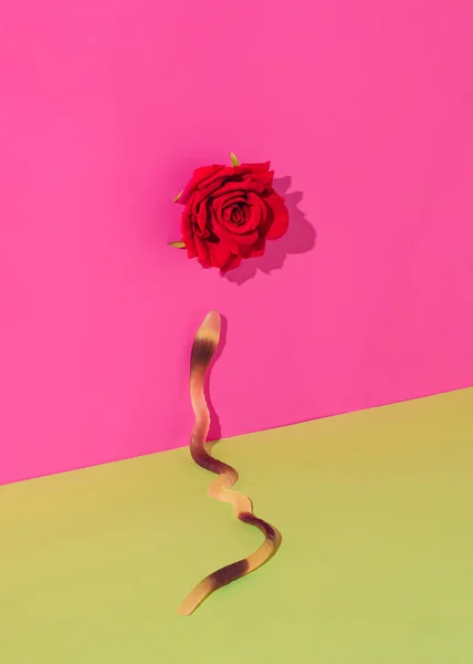 Gummy Candy Snake Blooming Red Rose Flowers Sunshine Shadows Vibrant — Foto de Stock
