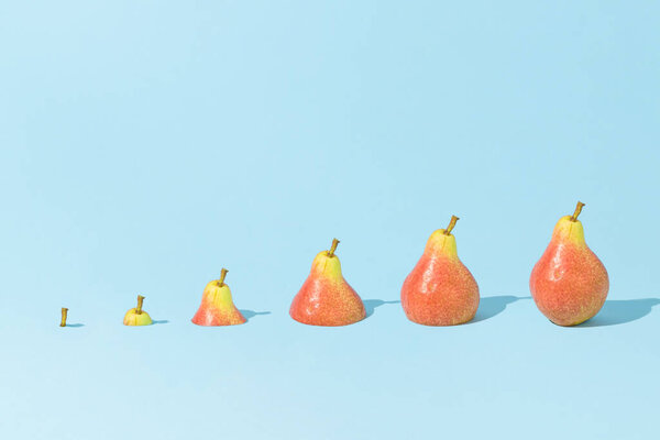 Свежие спелые органические груши возрастающего размера, появляющиеся на ярко-голубом фоне. Творческий модный летний или осенний сочный фруктовый состав. Концепция здорового питания. Идея об изобилии или успехе.