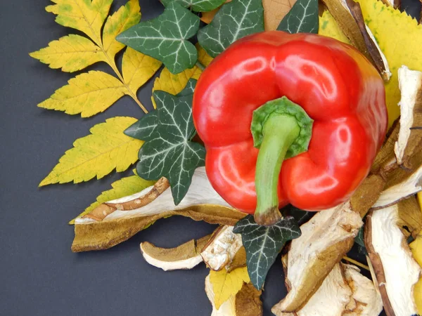 Kurumuş porcini mantarlı sonbahar arkaplanı, sonbahar yaprakları, kırmızı dolma biber. Siyah arka planda sonbahar mantarları, yapraklar ve sebzelerin bileşimi.