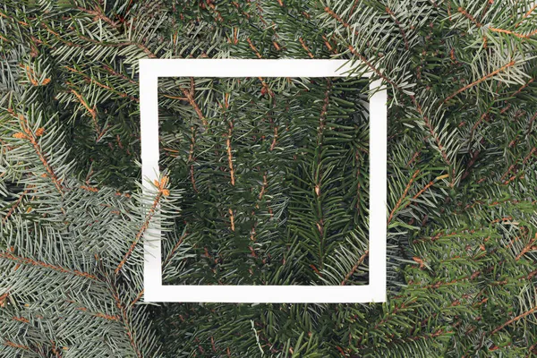 新年圣诞树 白色正方形框架 复制空间 — 图库照片