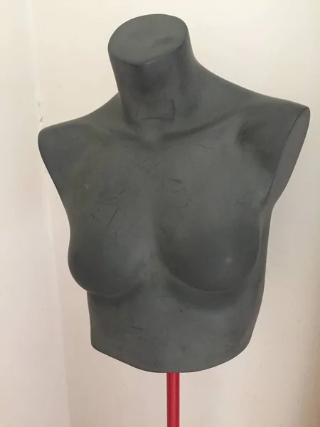 Maniquí Torso Superior Del Cuerpo Sin Brazos Forma Femenina Objeto —  Fotos de Stock