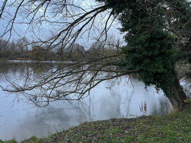 Akşamın erken saatlerinde Norfolk Geniş Ağacı 'nın ve gölün arka planının güzel manzarası kumlu sahil kıyısı ve ağaçlar sonbaharda Doğu Anglia' da suya yansıyor.