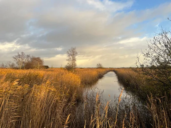 Prachtig Landschap Van Norfolk Breed Rivierwater Bij Hickling East Anglia — Stockfoto