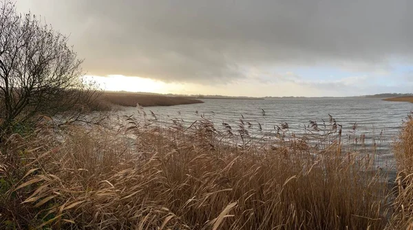 Landschap Panoramisch Uitzicht Het Prachtige Norfolk Breed Natuurreservaat Meer Met — Stockfoto