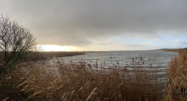 美しいノーフォークの風景パノラマビュー冷たい暗い日の風が吹く水と植物に秋の夕方の日没の光で葦の木と反射と広範な自然保護区の湖 — ストック写真