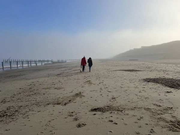 Beautiful Landscape Female Couple Walking Dog Misty Environment Sandy Beach — Stock Photo, Image