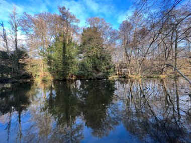 Ormandaki yüksek ağaçların güzel manzarası sakin geniş su gölüne yansıyor. Kahverengi ve yeşil yapraklar Thetford Lynford Gölleri Norfolk Doğu Anglia 'da. Mavi gökyüzü ve soğuk panoramik manzara.