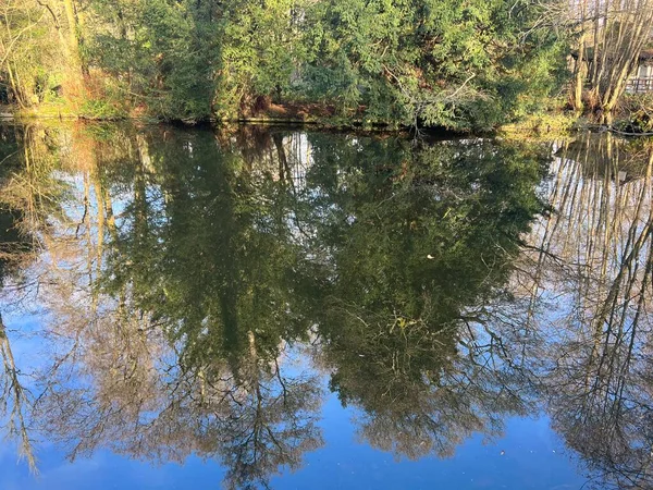 Hermoso Paisaje Árboles Altos Bosque Reflejado Calma Todavía Lago Agua — Foto de Stock