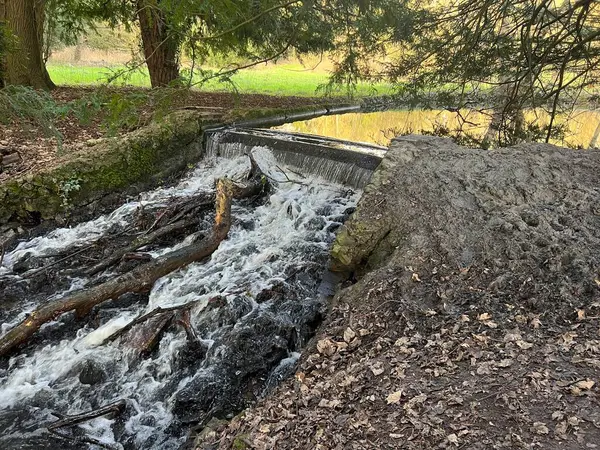 Krajobraz Wodospadu Szybkim Kwiatem Wody Nad Rzeką Drzewach Drzew Arboretum — Zdjęcie stockowe