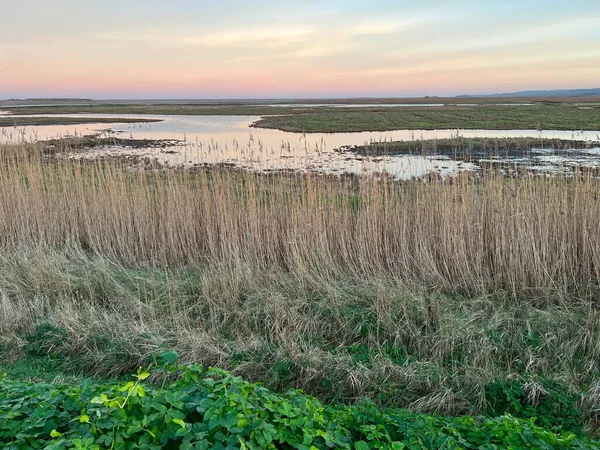 Zonsondergang Landschap Van Cley Naast Zee Prachtige Moerasland Natuurreservaat Norfolk — Stockfoto