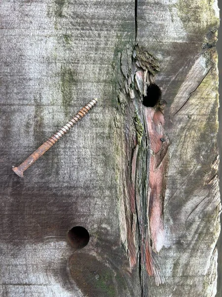 老旧铁路卧铺木料的密闭 用于花园高架床的施工 在风化谷物平面上 用大钉子看褐色的木纹图样 有切屑和孔洞 — 图库照片