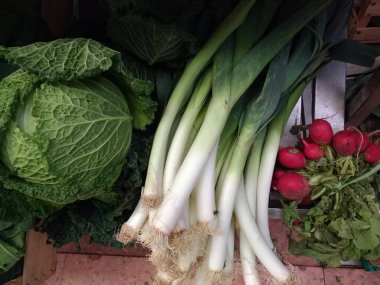Organik taze sebzelerin, taze hasat edilmiş sap pırasalarının, yeşil yapraklı kırmızı turpların ve yazın lahanaların kapağı açık.