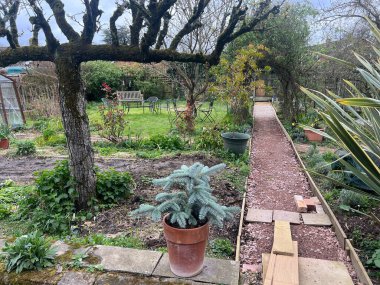 Tasarım projesinin bahçe manzarası, antika geri dönüşümlü ev tuğlalarıyla çitlere düz bir yol inşa etmek, havan ve kenar sınırları espalier armut ağacı, çimen çimen ve bitkilerle döşenmiş. 