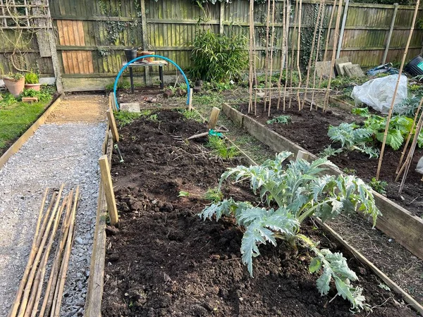 Garden Landscape Allotment Raised Soil Beds Growing Organic Vegetables Dug — Stock Photo, Image