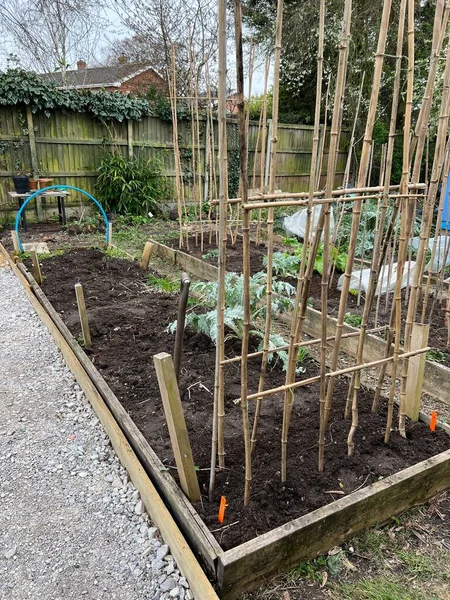 Garden Landscape Allotment Raised Soil Beds Growing Organic Vegetables Dug — стоковое фото