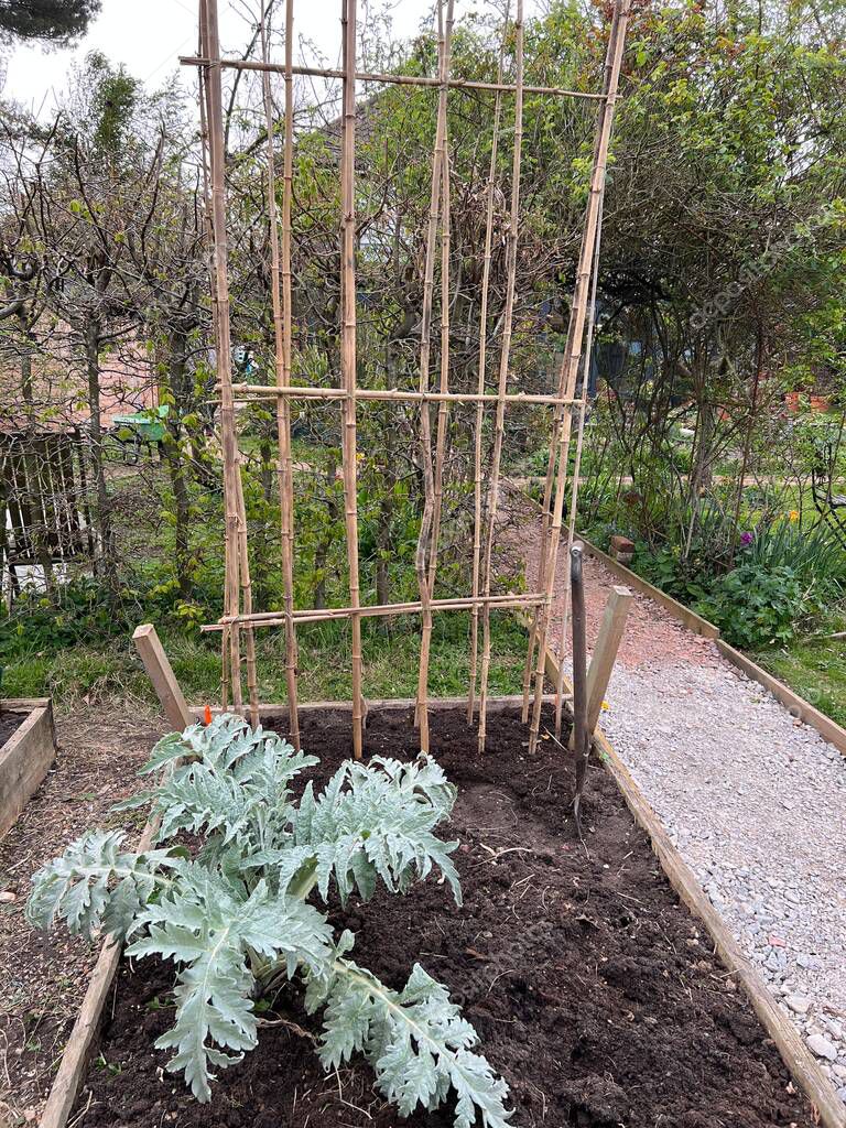 Garden landscape of allotment raised soil beds for growing organic
