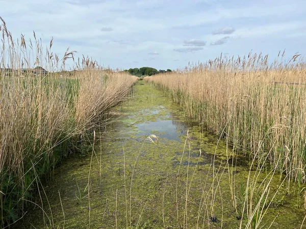 Schöne Landschaft Des Ruhigen Flusses Norfolk Breite Tierwelt Cley Neben — Stockfoto