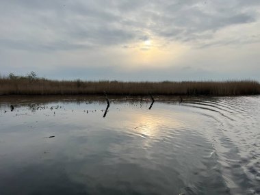 Şafak vakti koro teknesinin güzel manzarası gün doğumunda Hickling Geniş Doğa Koruma Alanı Norfolk Doğu Anglia 'da güneş doğarken bulutların arasından geçerek sazlıklarla suya yansıyor.