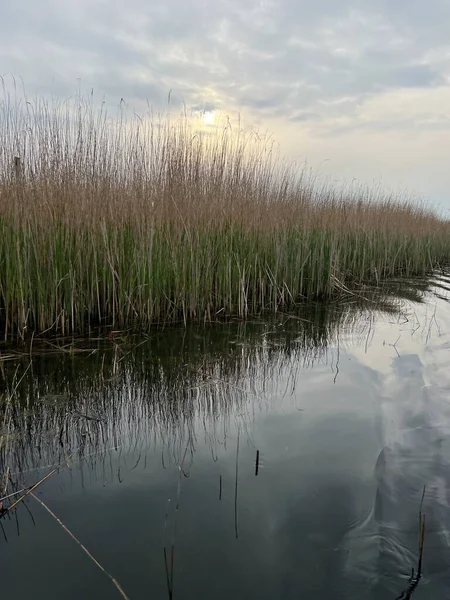 Hickling Geniş Doğa Koruma Alanı 'ndaki güzel gündoğumu sazlık yatakları. Güneş bulutları delip geçiyor. Şafak vakti koro teknesinde sabahın erken saatlerinde suya yansıyor.