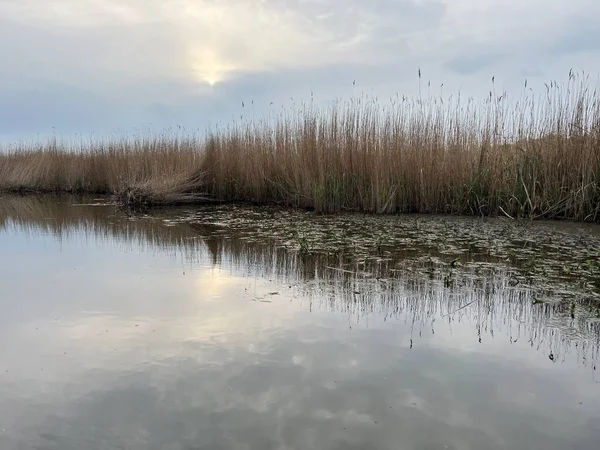Şafak vakti koro teknesinin güzel manzarası gün doğumunda Hickling Geniş Doğa Koruma Alanı Norfolk Doğu Anglia 'da güneş doğarken bulutların arasından geçerek sazlıklarla suya yansıyor.
