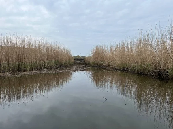 Hickling Geniş Doğa Koruma Alanı 'ndaki güzel gündoğumu sazlık yatakları. Güneş bulutları delip geçiyor. Şafak vakti koro teknesinde sabahın erken saatlerinde suya yansıyor.