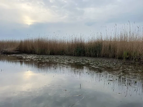 Hickling Geniş Doğa Koruma Alanı 'ndaki güzel gündoğumu sazlık yatakları. Güneş bulutları delip geçiyor. Şafak vakti koro teknesinde sabahın erken saatlerinde suya yansıyor.