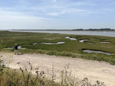 Doğa koruma alanlarında akan su manzarası Walberswick Suffolk Doğu Anglia 'da sahil şeridi boyunca büyüyen sazlıklar yaz günü mavi gökyüzü beyaz bulut yansıması