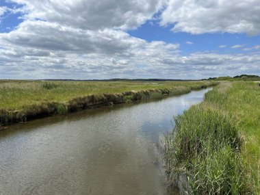 Doğa koruma alanlarında akan su manzarası Walberswick Suffolk Doğu Anglia 'da sahil şeridi boyunca büyüyen sazlıklar yaz günü mavi gökyüzü beyaz bulut yansıması