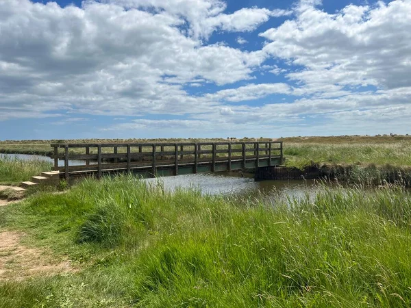 Beautiful landscape with wood bridge over waterway with reeds and sand path at nature reserve by the beach on East Anglia uk coastline at Walberswick Suffolk on Summer day with blue sky white cloud