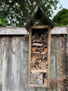 Close up of bee hotel in organic home made with recycled timber, branches garden grown bamboo plant poles for bees, insects and lace wings nest Summer construction house on wood fence background 