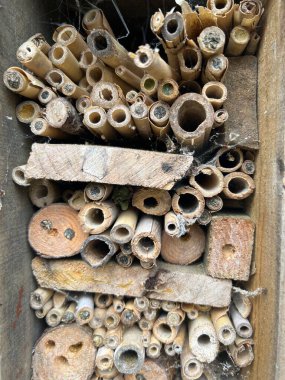 Close up of bee hotel in organic home made with recycled timber, branches garden grown bamboo plant poles for bees, insects and lace wings nest Summer construction house on wood fence background 