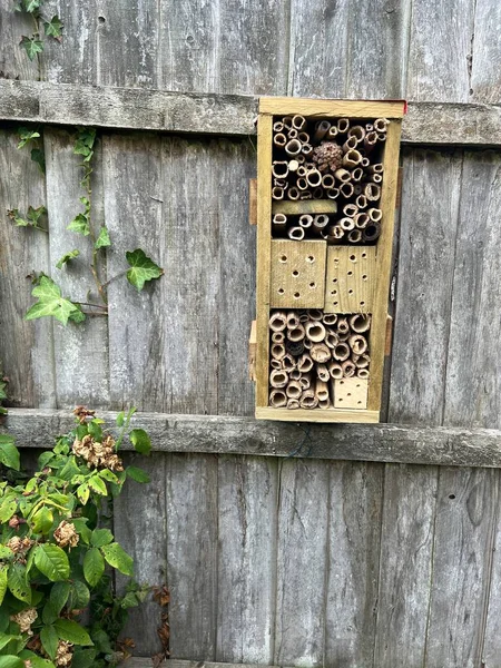 Close up of bee hotel in organic home made with recycled timber, branches garden grown bamboo plant poles for bees, insects and lace wings nest Summer construction house on wood fence background 