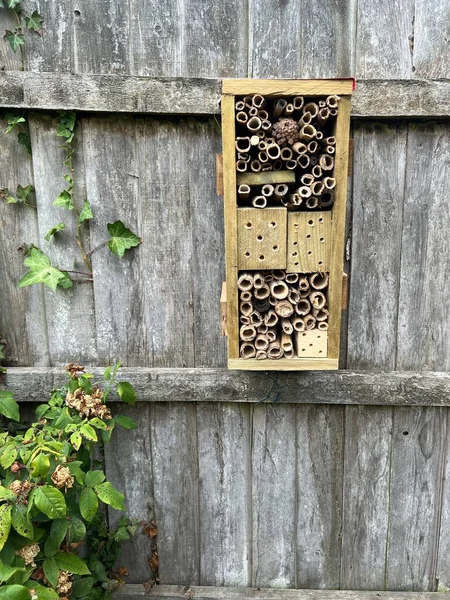 Close Bee Hotel Organic Home Made Recycled Timber Branches Garden — Stock Photo, Image