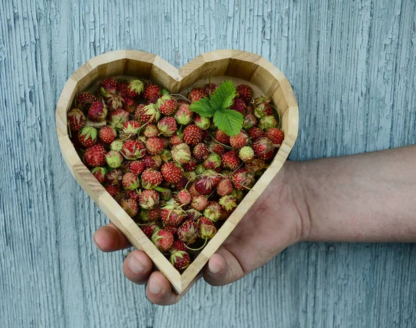 heart-shaped dish with wild berries in man's hand on wooden background. Valentine's Day gift, dessert.