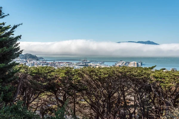 Вид Район Затоки Сан Франциско Телеграф Хілл Сша — стокове фото