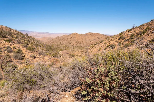Joshua Tree Ulusal Parkı 'ndaki büyük çöl manzarası, ABD