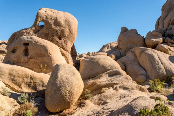 Paysage Aride Pittoresque Dans Parc National Joshua Tree États Unis — Photo