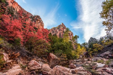 Metro geçidine giden sol çatal patikasında yürüyüş, Zion Ulusal Parkı, ABD