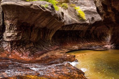 Utah, ABD 'deki Zion Ulusal Parkı' nın muhteşem metro geçidi.