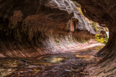 Utah, ABD 'deki Zion Ulusal Parkı' nın muhteşem metro geçidi.