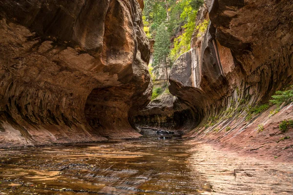 stock image Magnificent Subway gorge landmark in the Zion National Park in Utah, USA