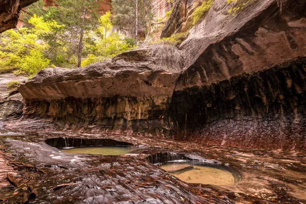 Magnifico Punto Riferimento Della Gola Della Metropolitana Nel Parco Nazionale — Foto Stock