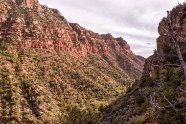 Zion NP, ABD 'deki Metro Boğazı' na uzanan Sol Çatal Yolu 'nun görkemli manzarası.