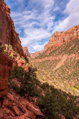 Zion NP, ABD 'deki Metro Boğazı' na uzanan Sol Çatal Yolu 'nun görkemli manzarası.