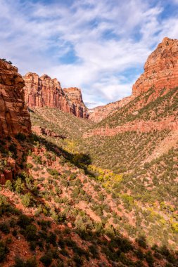 Zion NP, ABD 'deki Metro Boğazı' na uzanan Sol Çatal Yolu 'nun görkemli manzarası.