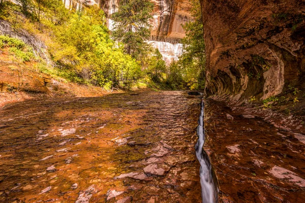 Water Stream Flowing Narrow Crack Subway Gorge Zion Usa — Stock Photo, Image