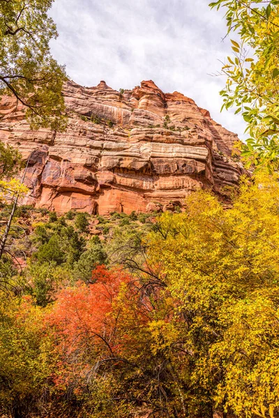 Paesaggio Selvaggio Incontaminato Che Circonda Torrente Forcella Sinistra Zion Usa — Foto Stock