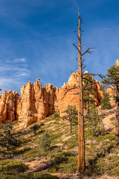 Rocas Escénicas Desde Sendero Del Bucle Navajo Que Conduce Través — Foto de Stock