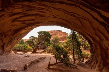 Arches Ulusal Parkı 'ndaki Giant Navajo Kemeri, ABD